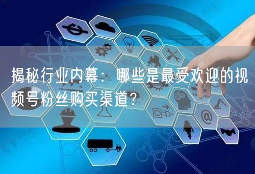 揭秘行业内幕:哪些是最受欢迎的视频号粉丝购买渠道?