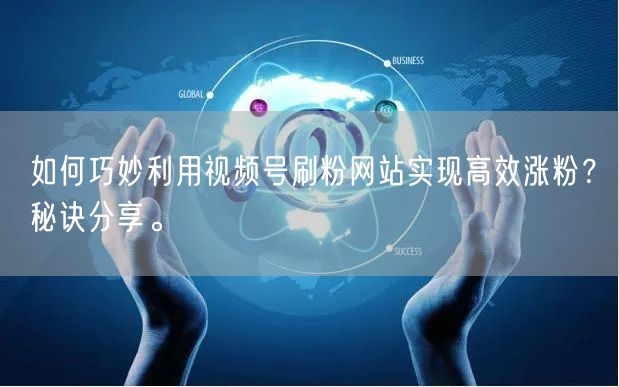 如何巧妙利用视频号刷粉网站实现高效涨粉?秘诀分享。