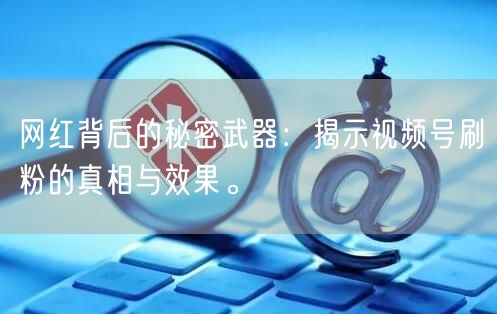 网红背后的秘密武器:揭示视频号刷粉的真相与效果。