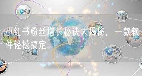 小红书粉丝增长秘诀大揭秘,一款软件轻松搞定