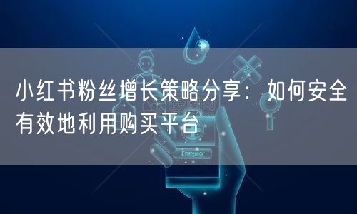 小红书粉丝增长策略分享：如何安全有效地利用购买平台