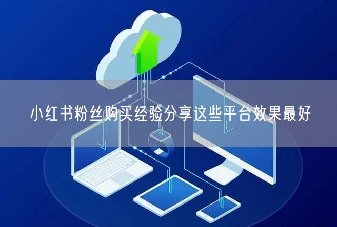 小红书粉丝购买经验分享这些平台效果最好