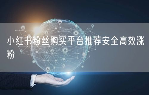 小红书粉丝购买平台推荐安全高效涨粉