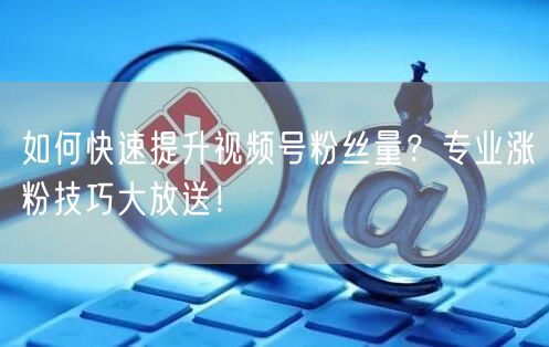 如何快速提升视频号粉丝量？专业涨粉技巧大放送！